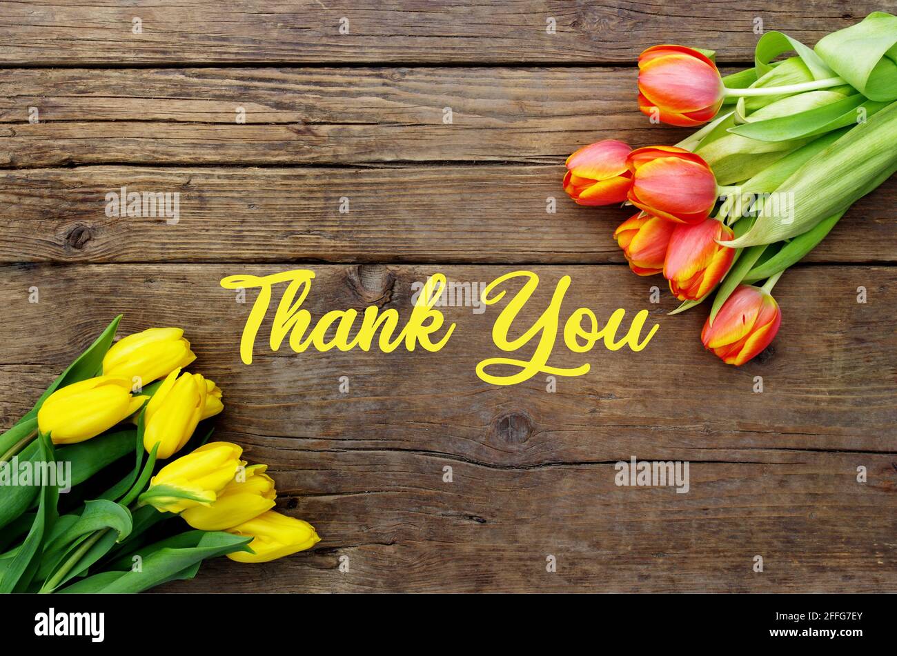 Thank You Message, Colorful tulips on wooden background. Spring flower