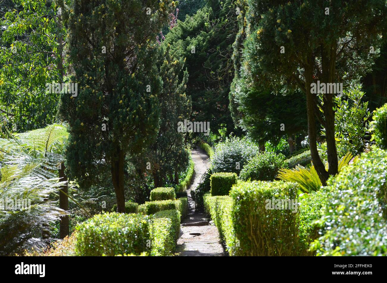 Springtime in the Monte municipal gardens, Funchal, Madeira (Portugal) Stock Photo