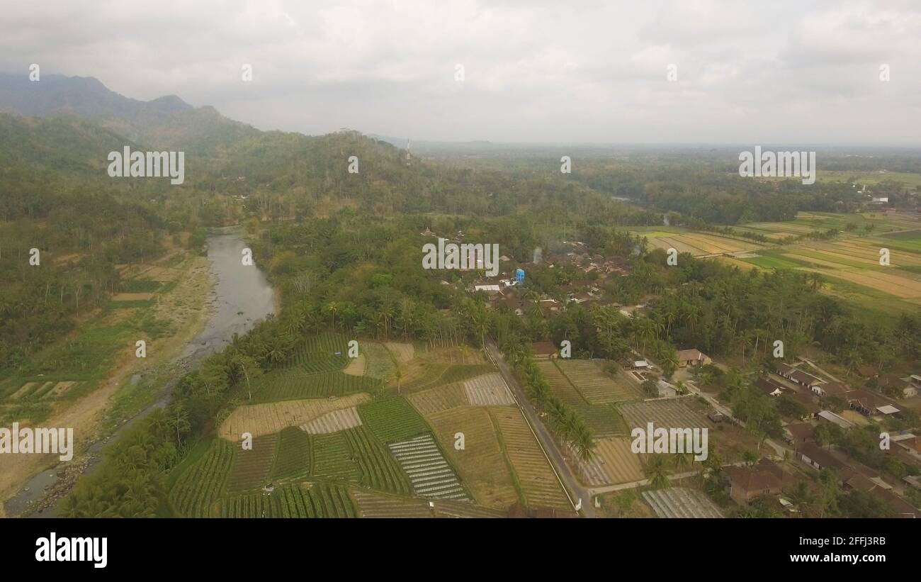 river in asia among palm trees, farmland and jungle. aerial view river ...