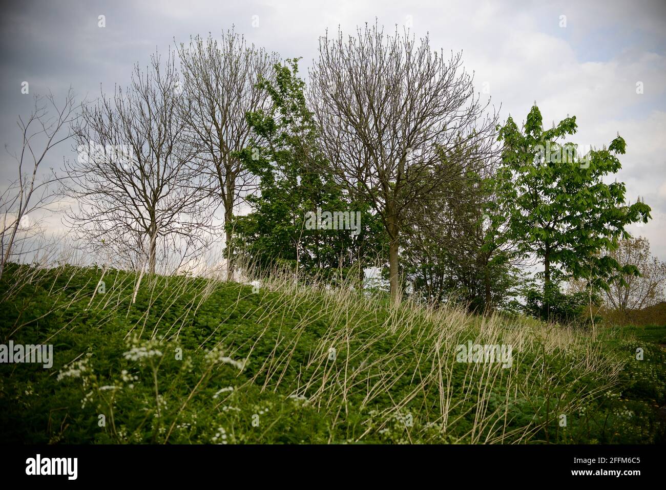 Park, Harlow, England Stock Photo - Alamy