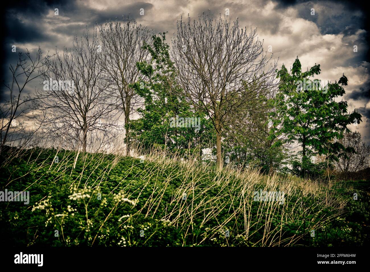 Park, Harlow, England Stock Photo - Alamy