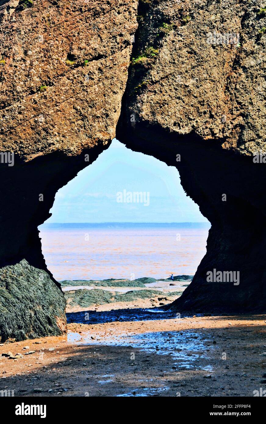 Hopewell Rocks stand on dry land, with the tide out in the Bay of Fundy, New Brunswick, Canada. Stock Photo