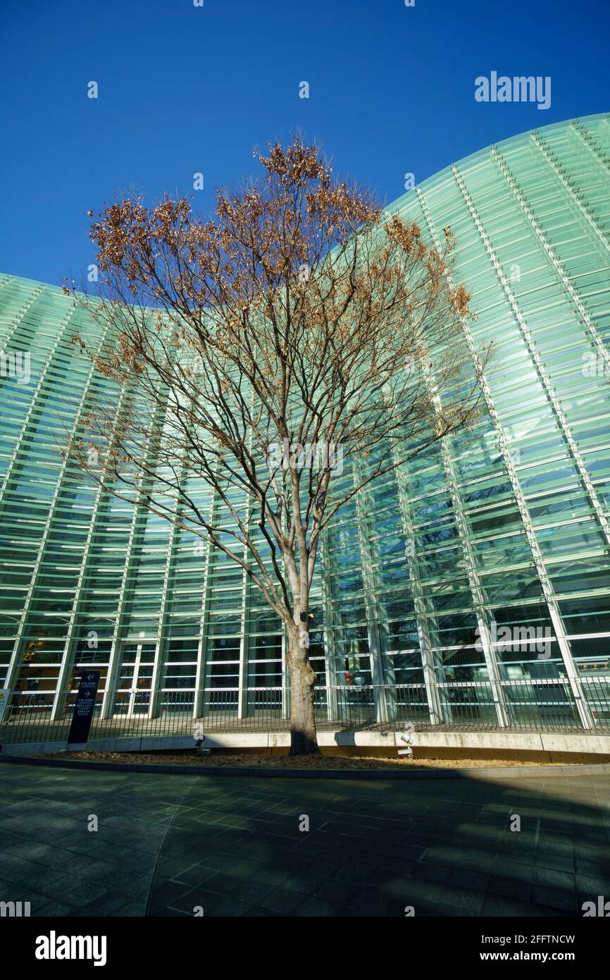 National art centre Tokyo building Stock Photo Alamy