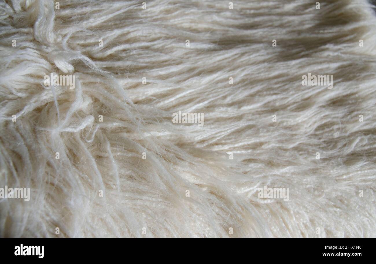 White Fur Textured Abstract Macro Background Stock Photo