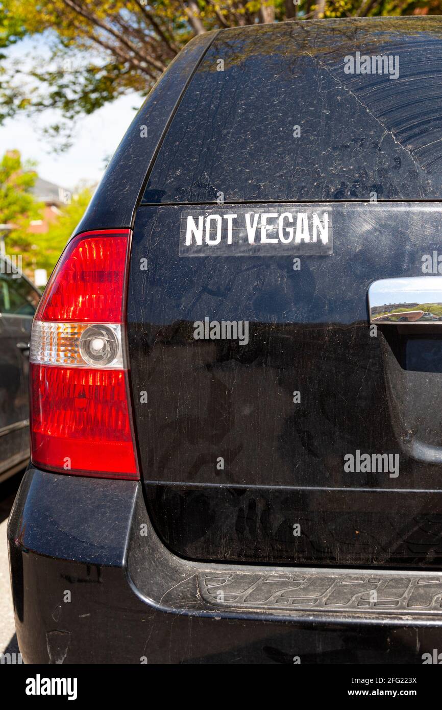 Funny car sticker on the back of an SUV that says " Not Vegan ". A way to express anti-vegan argument, love of eating animal products or a protest aga Stock Photo
