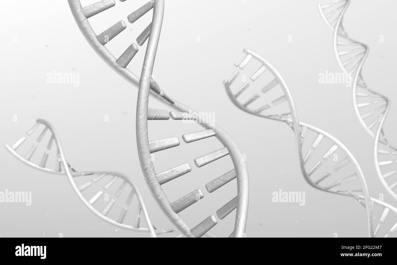 DNA spirals on a gray background. 3d render. Stock Photo