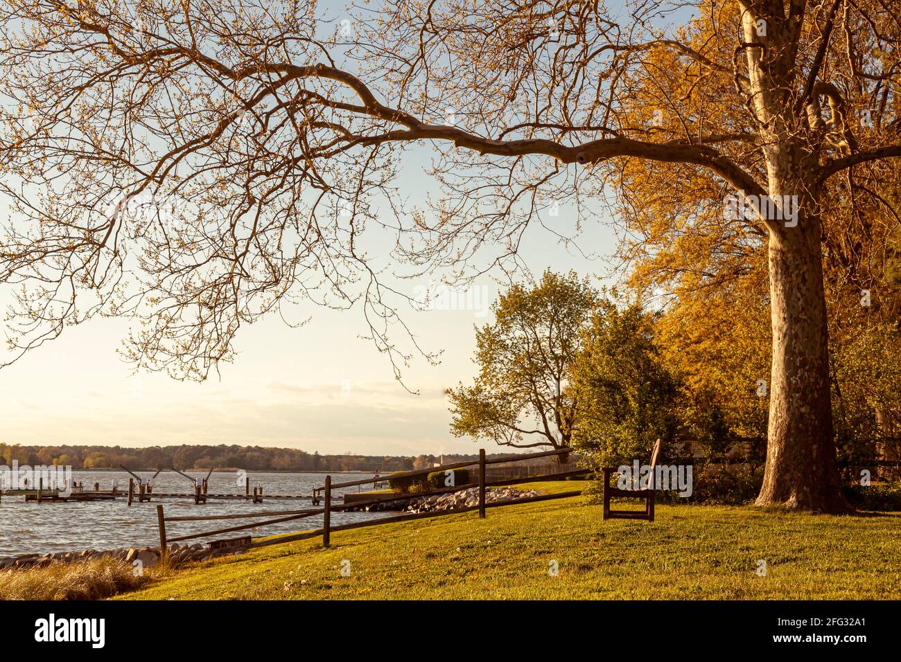 A prime location by the water with an empty wooden bench under trees with autumn colors at sunset. A nostalgic senior housing complex themed image wit Stock Photo