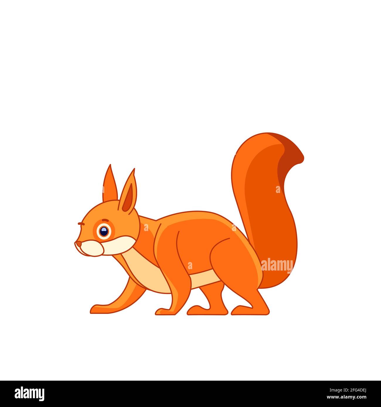 Cute red squirrel walking. Cartoon character of a small mammal animal. A  wild forest creature with red, orange fur. Side view. Vector in flat style  Stock Vector Image & Art - Alamy