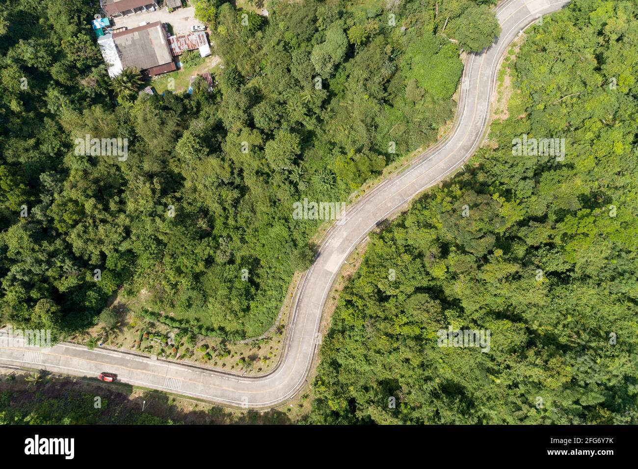 Aerial view Curve Road in the forest green summer trees Drone camera top  down view Amazing landscape High angle view Stock Photo - Alamy