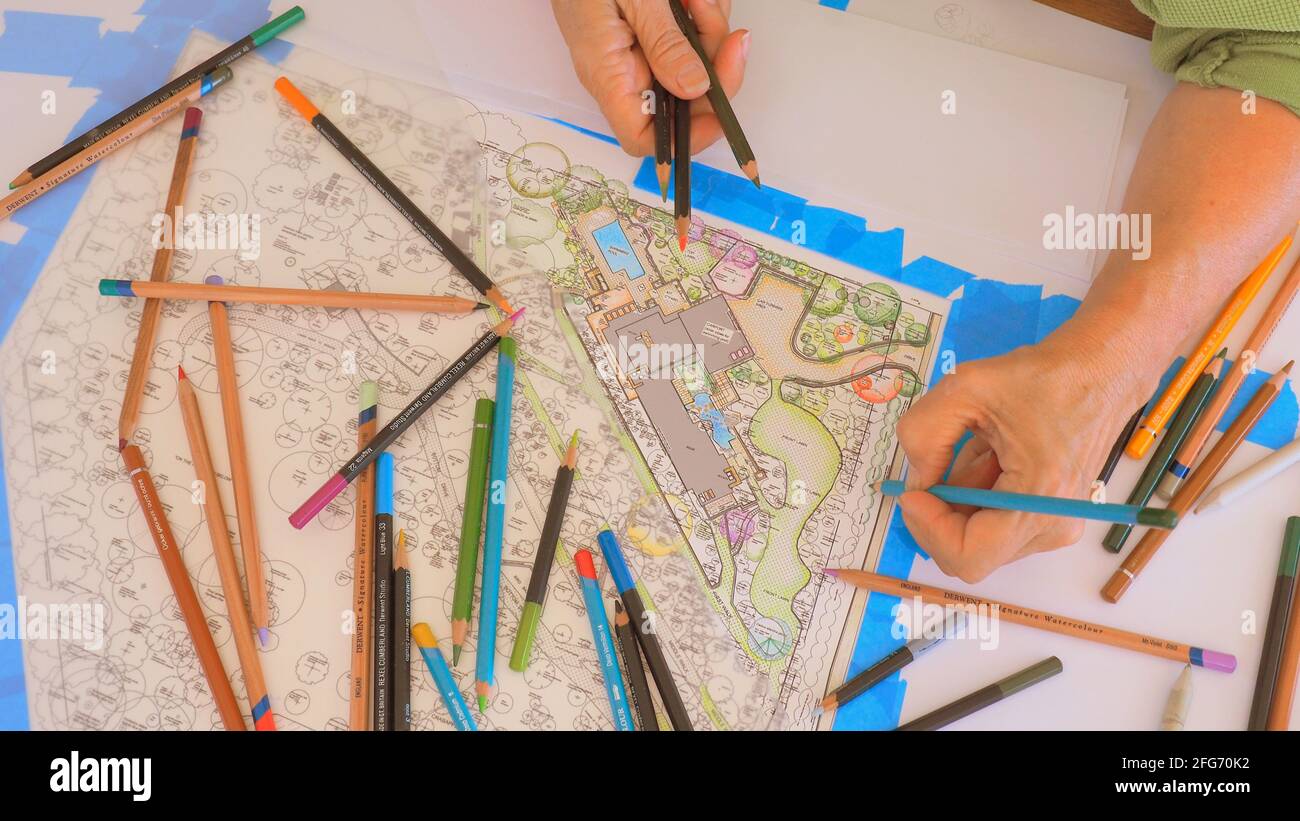 A left-handed artist uses pencils to hand-colour her landscape design of a large garden Stock Photo