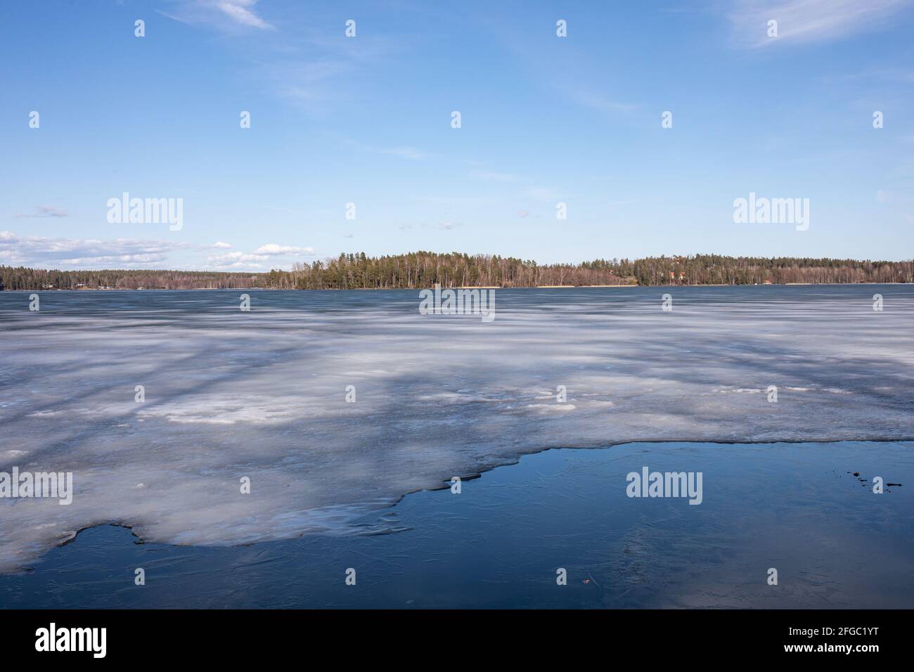Lake Vitträsk partly covered in ice in Kirkkonummi, Finland Stock Photo