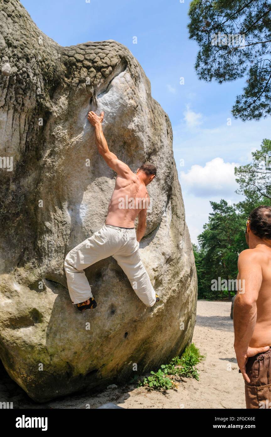 Bouldering at the rocks in the forests of Fontainebleau Stock Photo - Alamy
