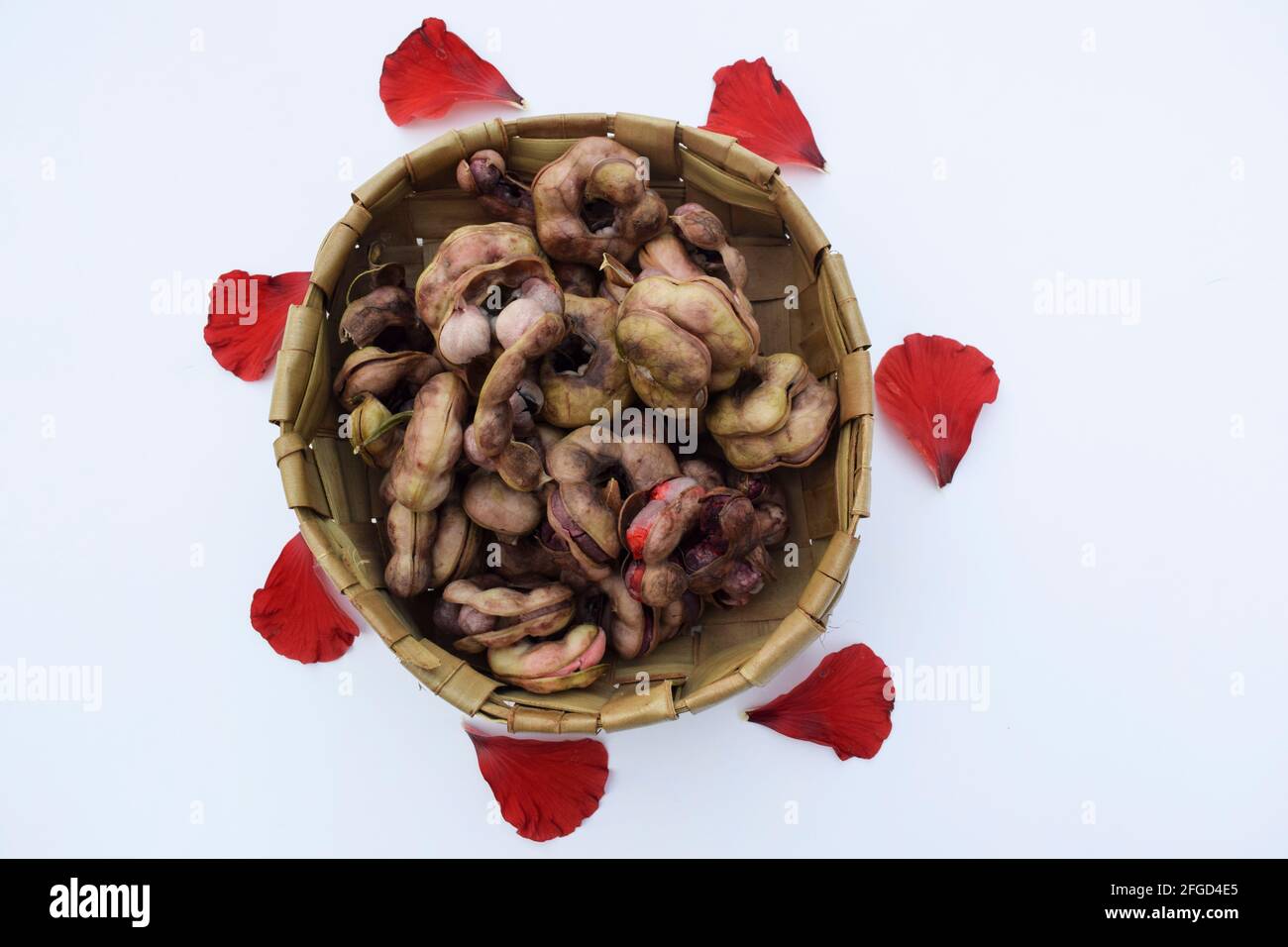 Manila tamaraind also known as chichbila or jungle jalebi, asian or african wild pink raw fruit with seeds. Round shaped tamarind like fruit. Stock Photo