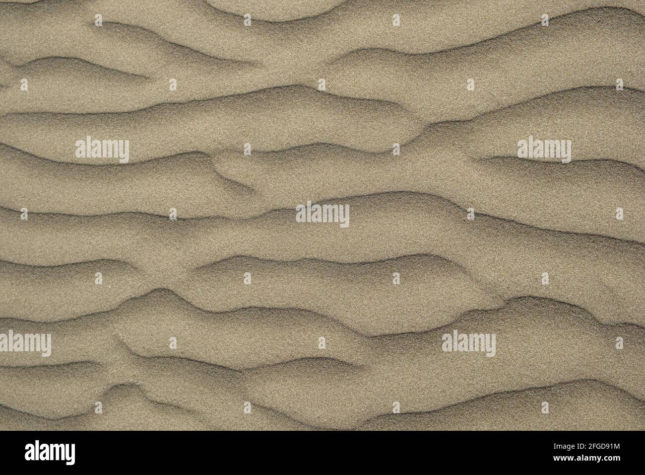 beach abstract: Sand patterns created by the wind Stock Photo