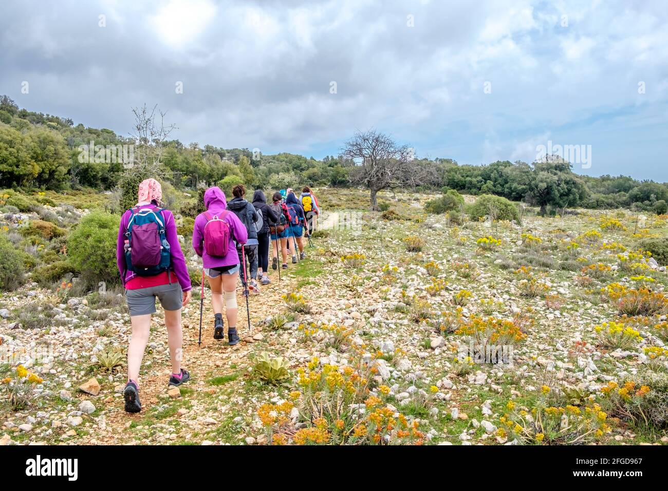 Group people hiking top rocky hi-res stock photography and images - Alamy