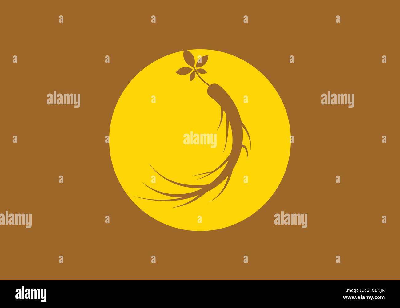 Ginseng design vector icon illustration template Stock Vector