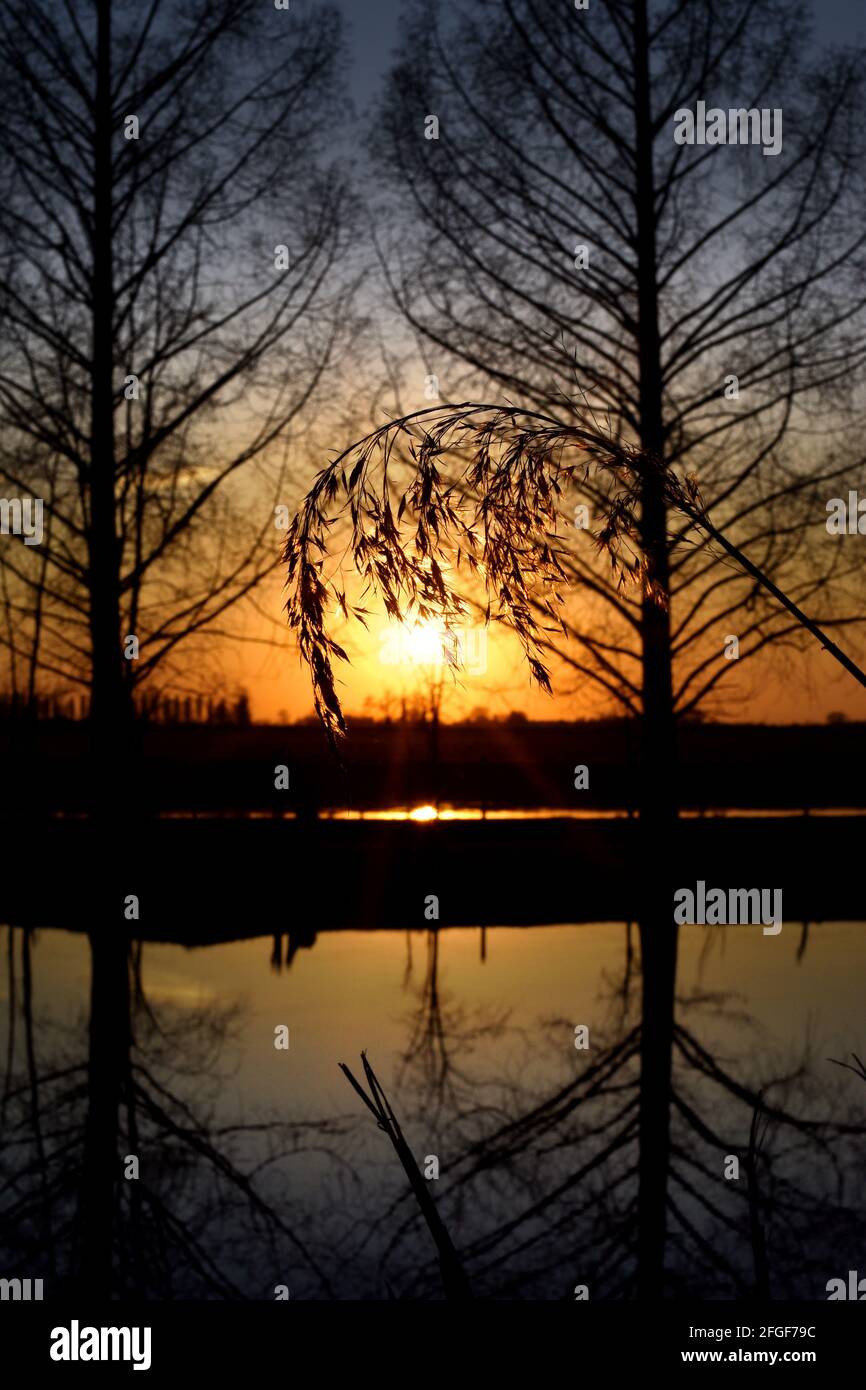amazing sunset on the Muzza river Stock Photo - Alamy