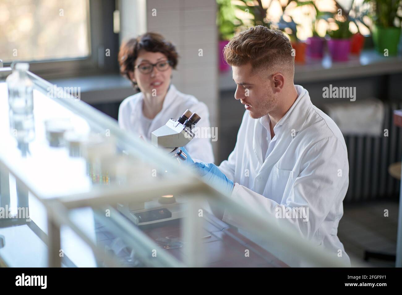 A young male chemistry student using a microscope in a laboratory in a relaxed atmosphere. Science, chemistry, lab, people Stock Photo