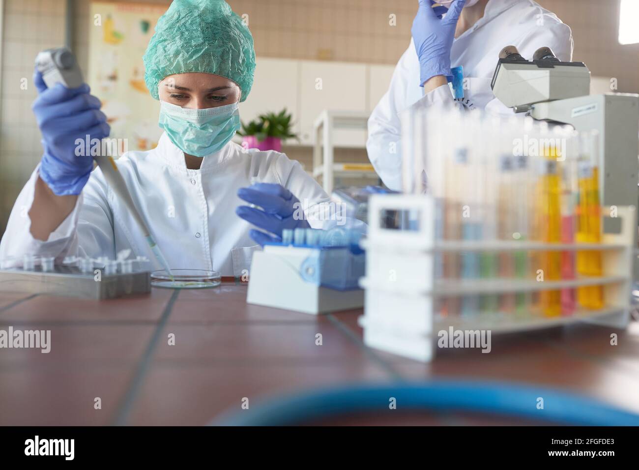 Young female scientists in protective gear carefully working with chemicals in a sterile laboratory environment. Science, chemistry, lab, people Stock Photo