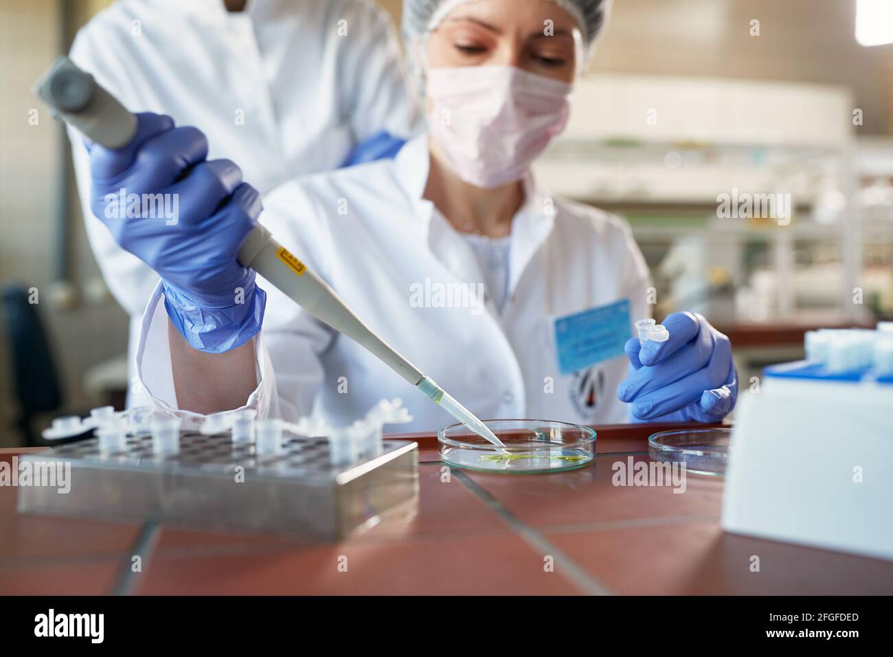 A young female scientist in protective gear uses a pipette to take a sample in a sterile laboratory environment. Science, chemistry, lab, people Stock Photo