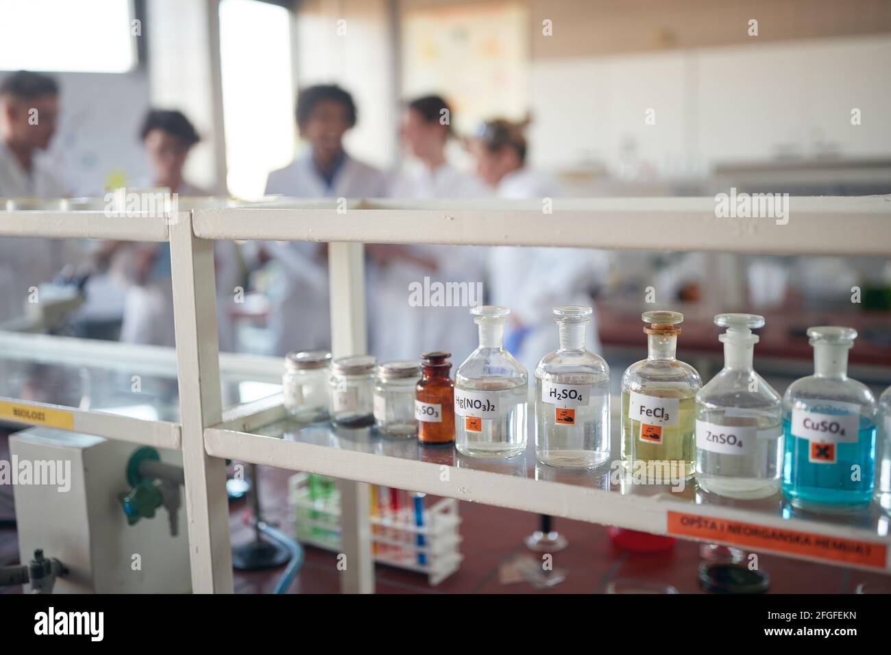 Young chemistry students preparing for a work in a cheerful atmosphere in the university laboratory. Science, chemistry, lab, people Stock Photo