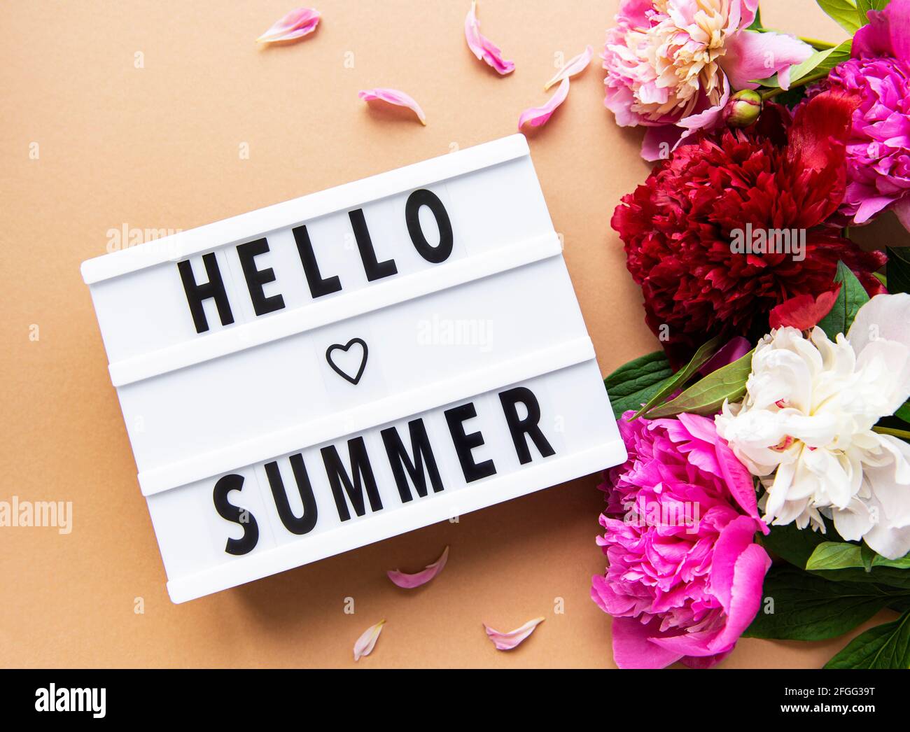 Light box with Hello Summer text and peonies flowers on a brown background Stock Photo