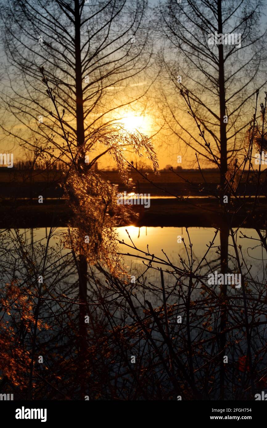 amazing sunset on the Muzza river Stock Photo - Alamy