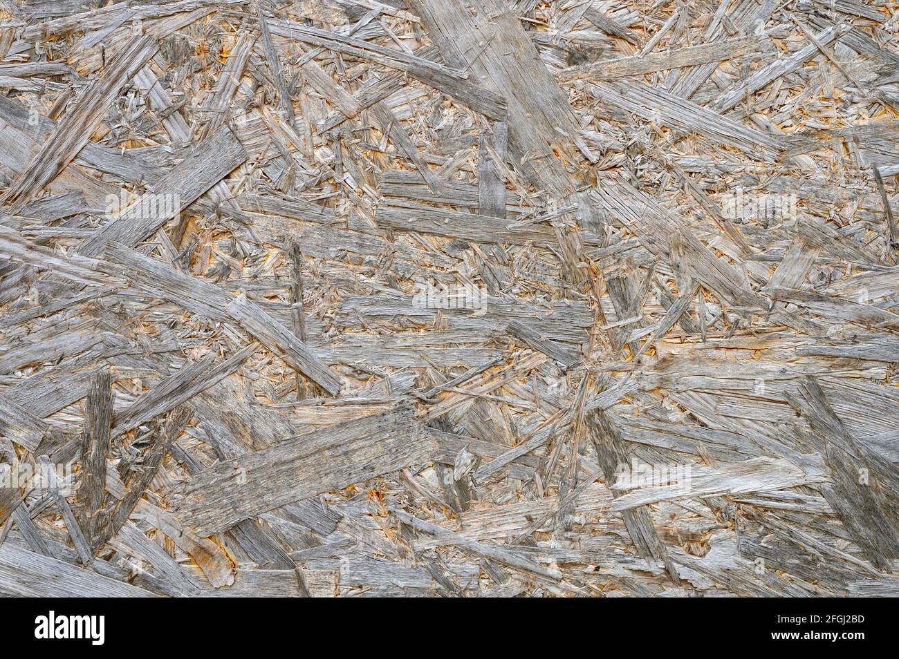 plywood gray color. background texture of aged sheet of plywood with ...
