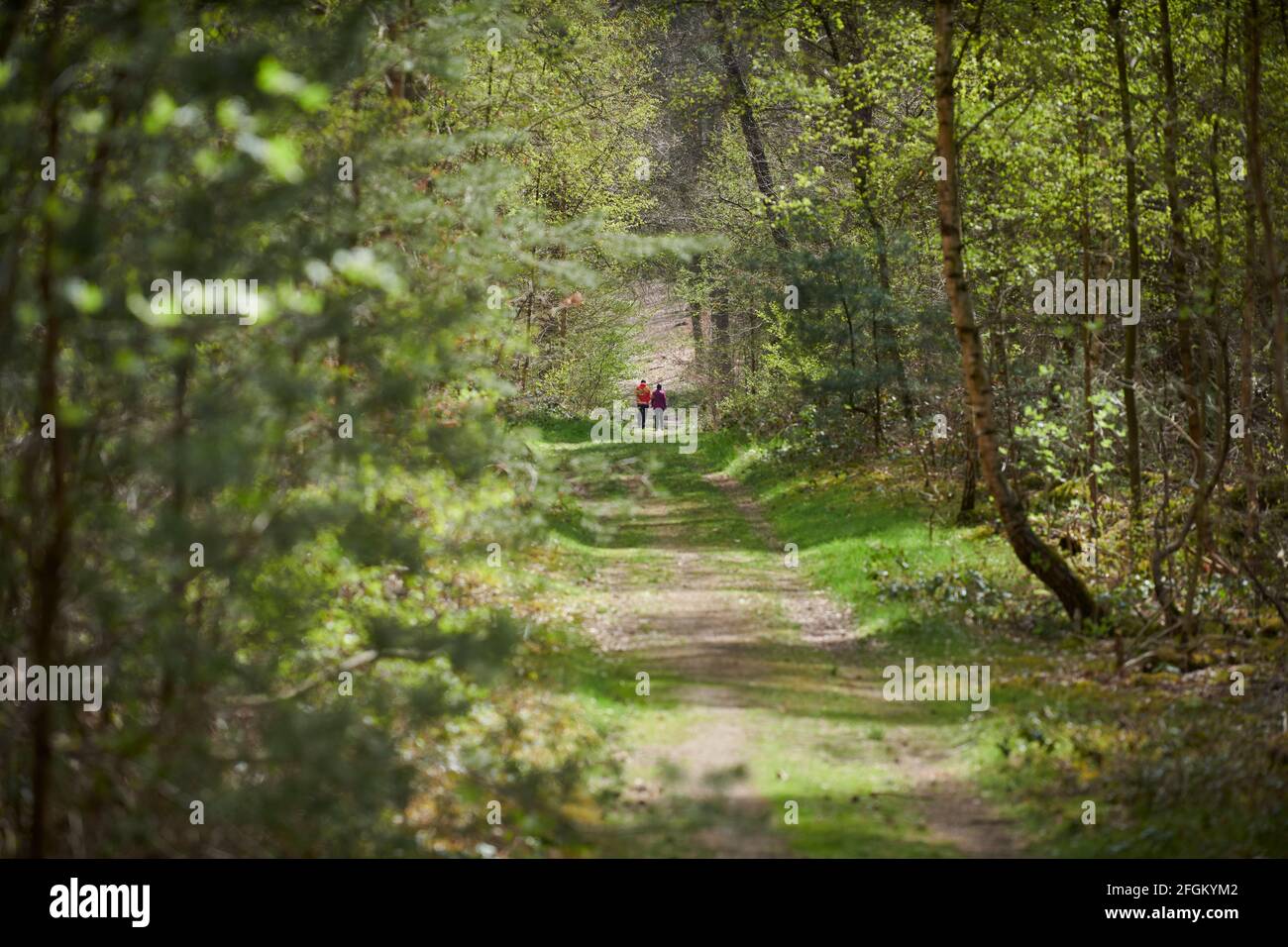 Die haard hi-res stock photography and images - Alamy