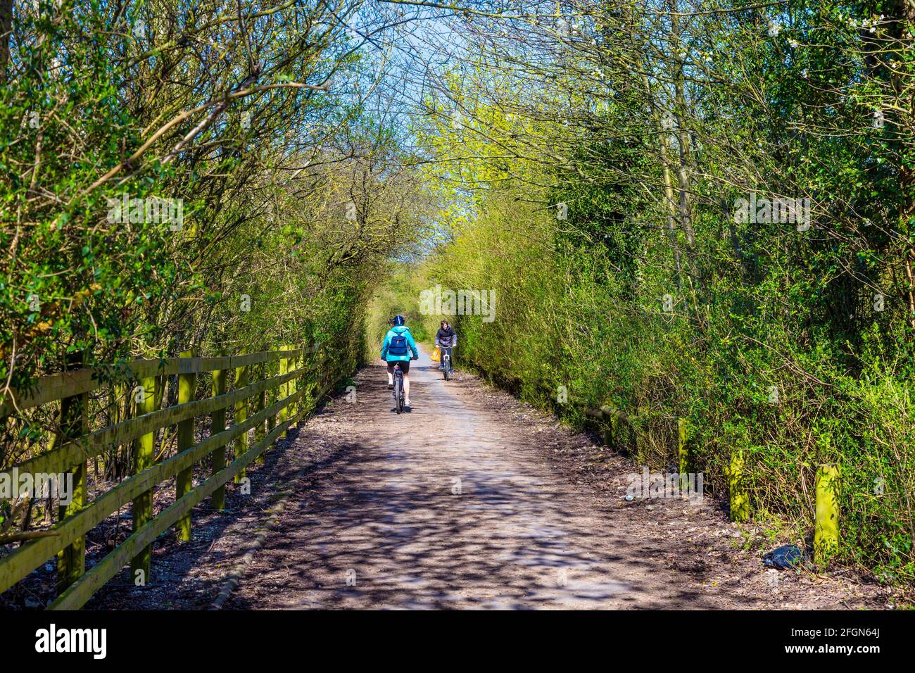 Cyclists on the National Cycling Network Route C12 between Baldock and Letchworth, Hertfordshire, UK Stock Photo