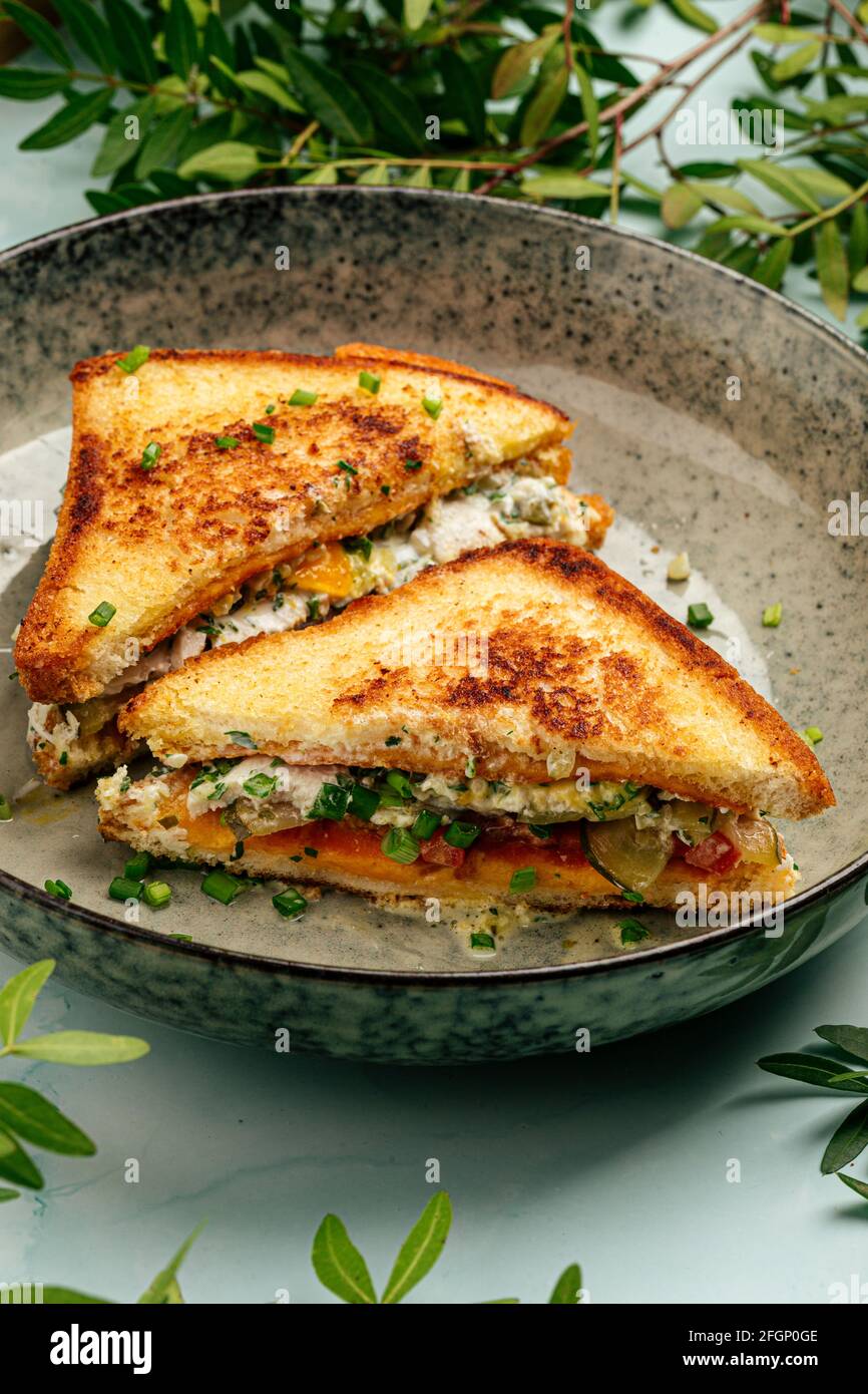 Gourmet appetizing breakfast sandwiches Stock Photo