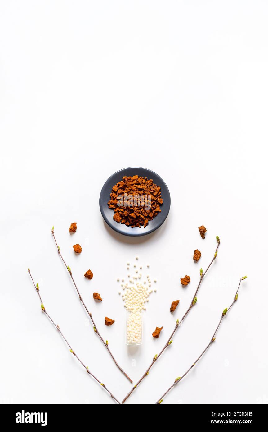 the chaga mushroom. composition of pieces of birch fungus chaga and homeopathic medicine pills in jar on a white background. the concept of alternativ Stock Photo