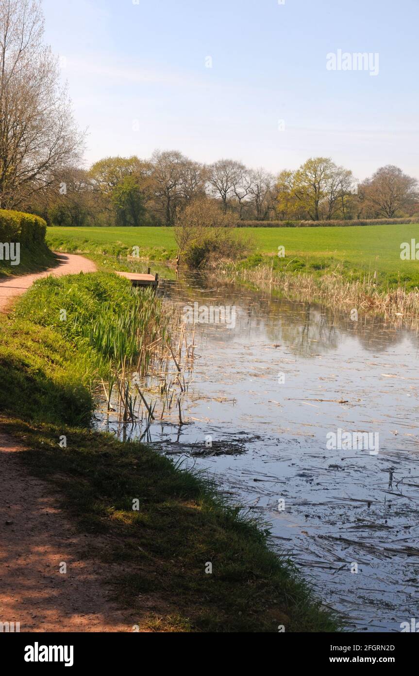 A section of the former Grand Western Canal - now a linear country park - near Sampford Peverell, Devon, England Stock Photo