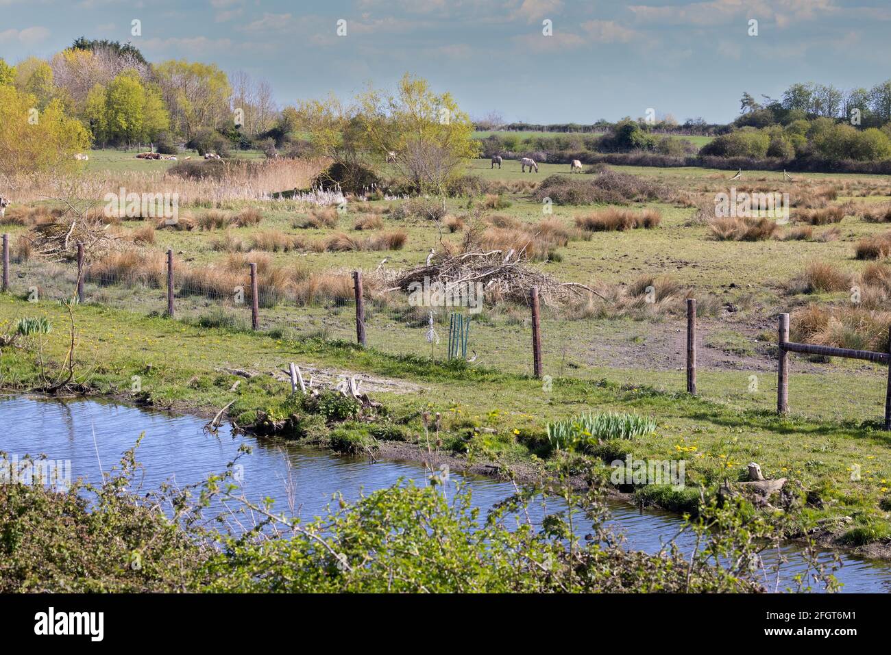 Kingfisher Bridge Nature Reserve, landscape view of british countryside at Wicken, Cambridgeshire UK Stock Photo