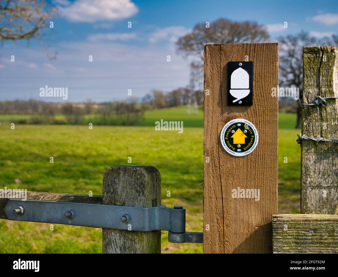 Fixed to a wooden post on a stile, a direction marker and white acorn logo of the Natural England National Trail, the Hadrian's Wall Path. Stock Photo