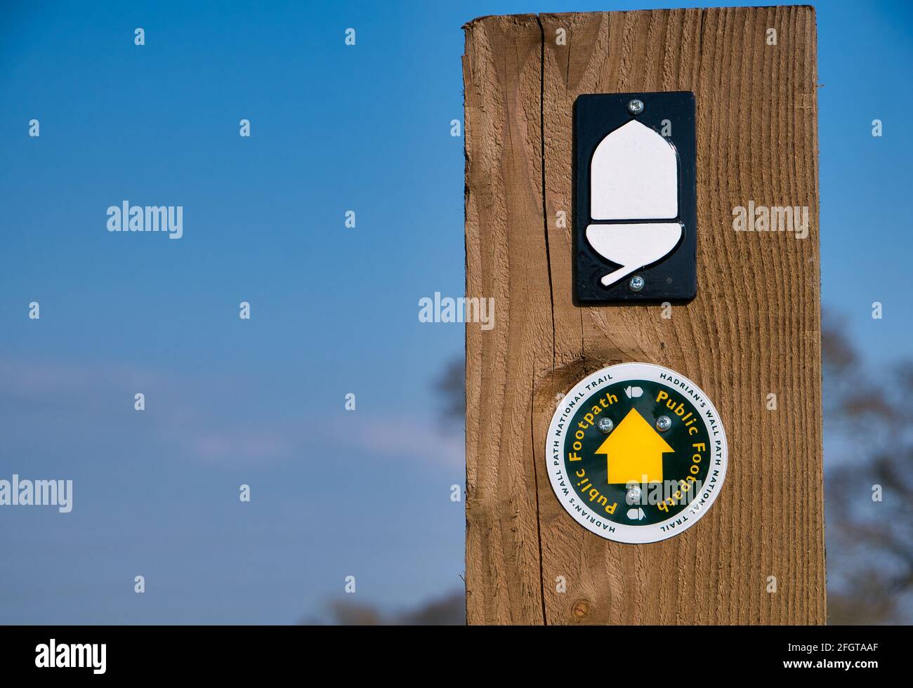 Fixed to a wooden post on a stile, a direction marker and white acorn logo of the Natural England National Trail, the Hadrian's Wall Path. Stock Photo