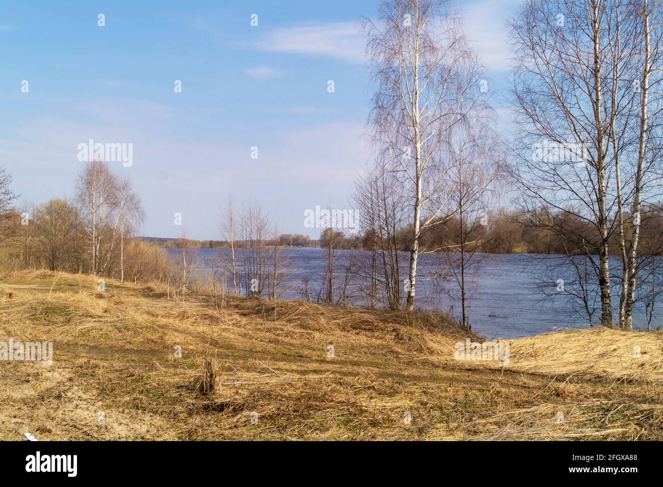 Spring landscape in the countryside. River in a wooded area against a blue sky Stock Photo