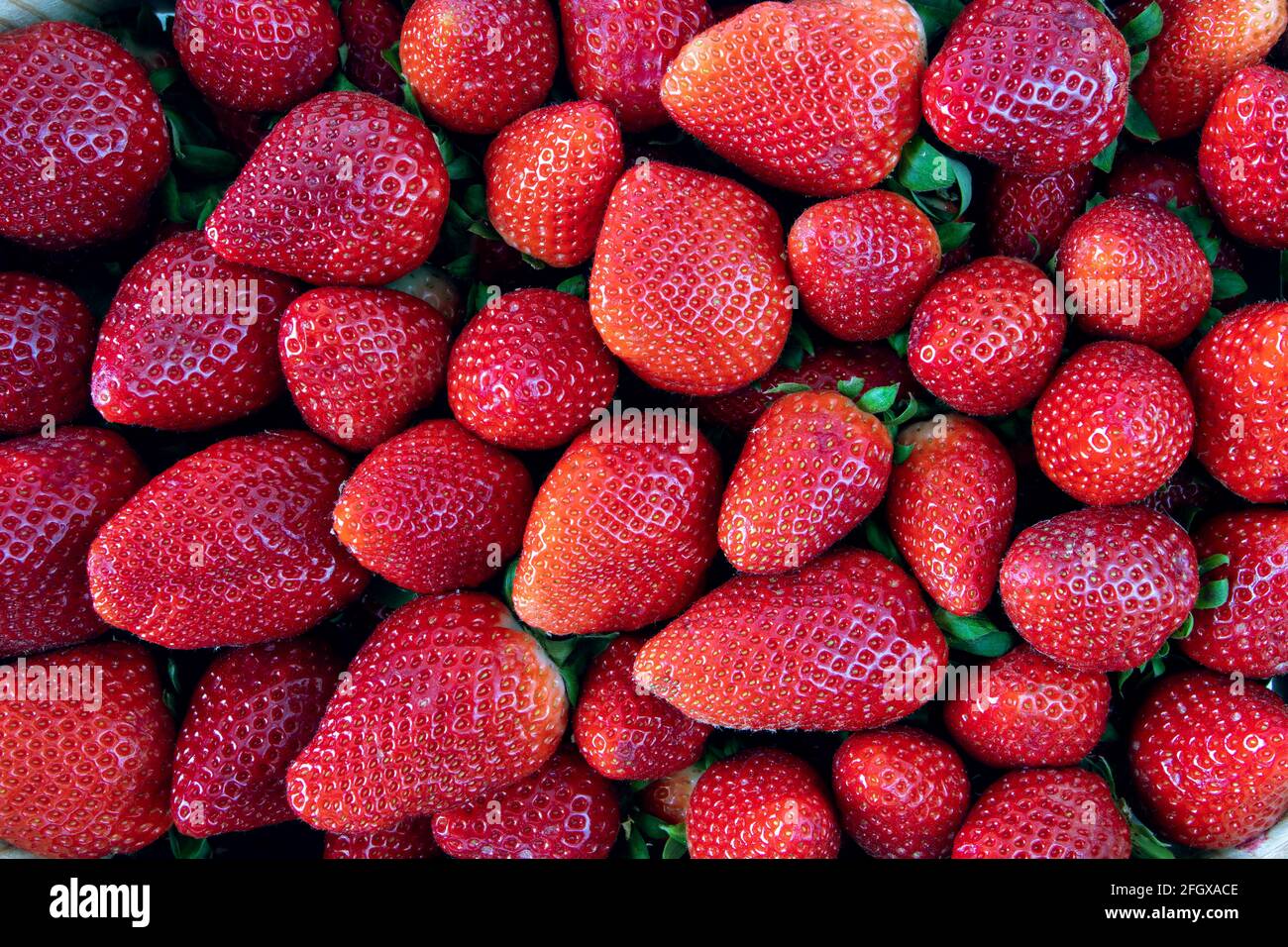 Ripe red strawberries. Season specific food. Fruits background. Stock Photo