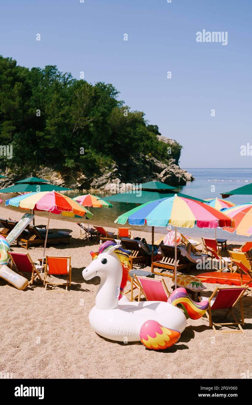 Sun umbrellas and sun loungers on the royal beach in Przno against the backdrop of green trees Stock Photo