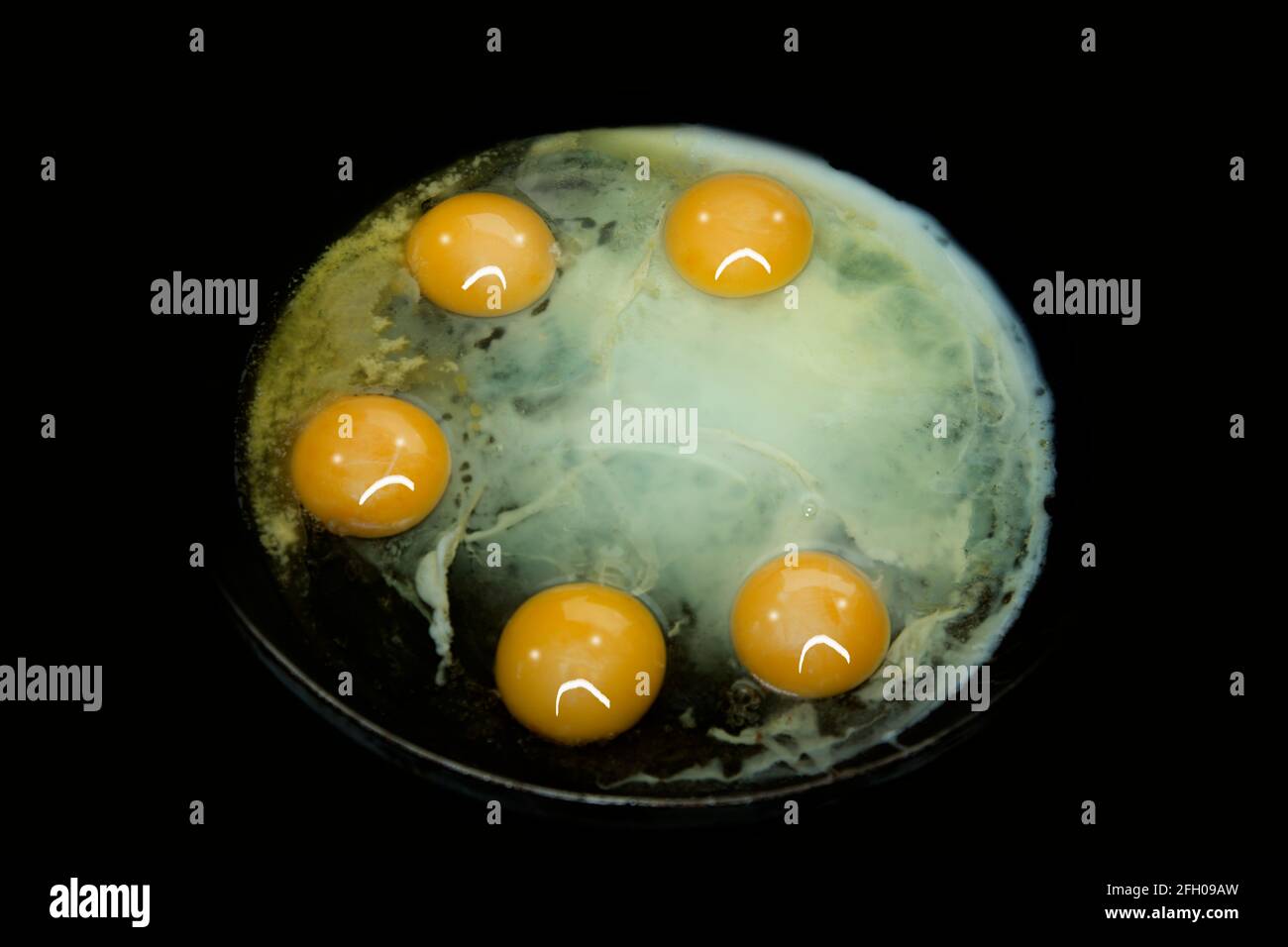 5 fried eggs in the pan Stock Photo