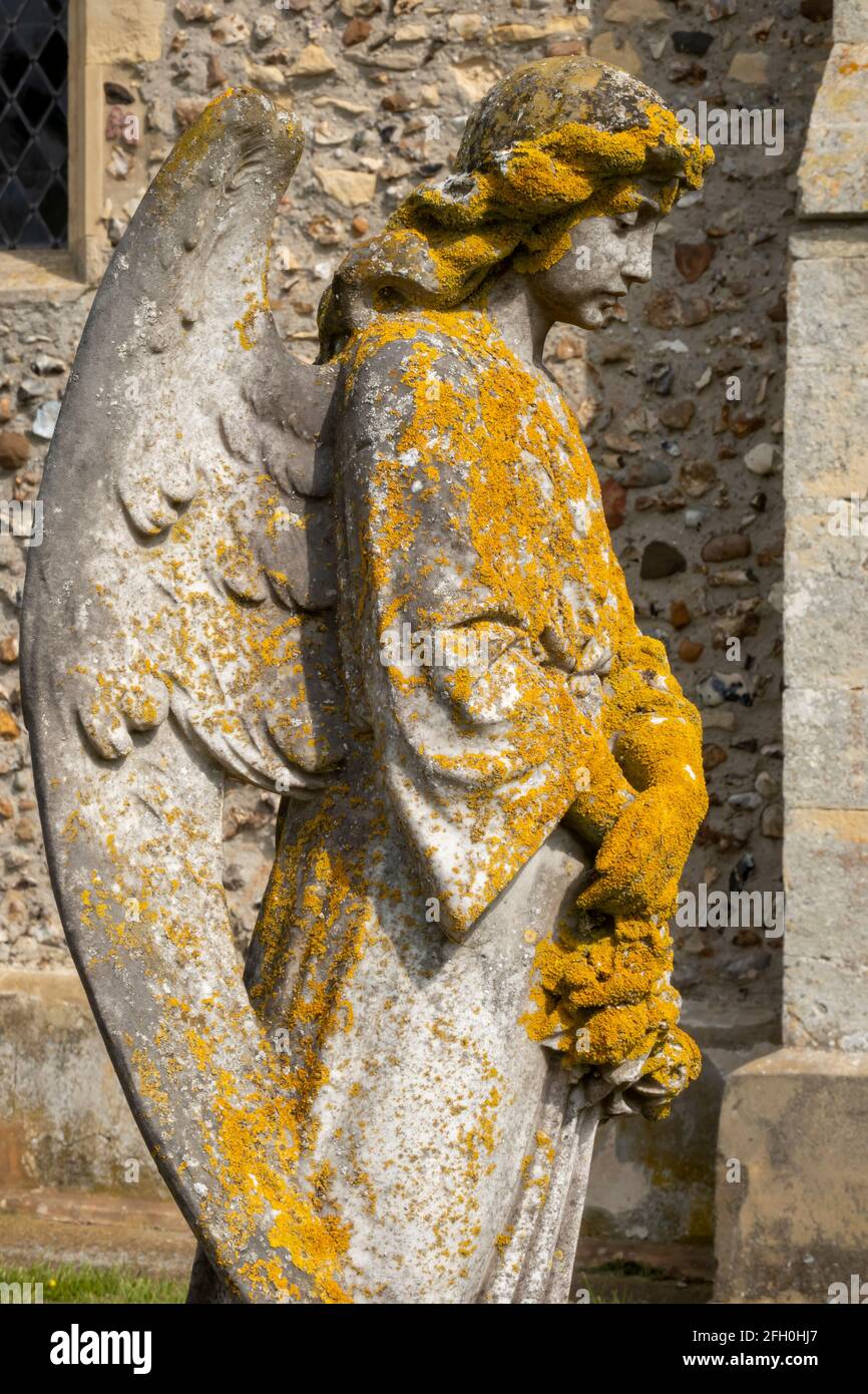 Angel headstone partly covered in yellow lichen Stock Photo