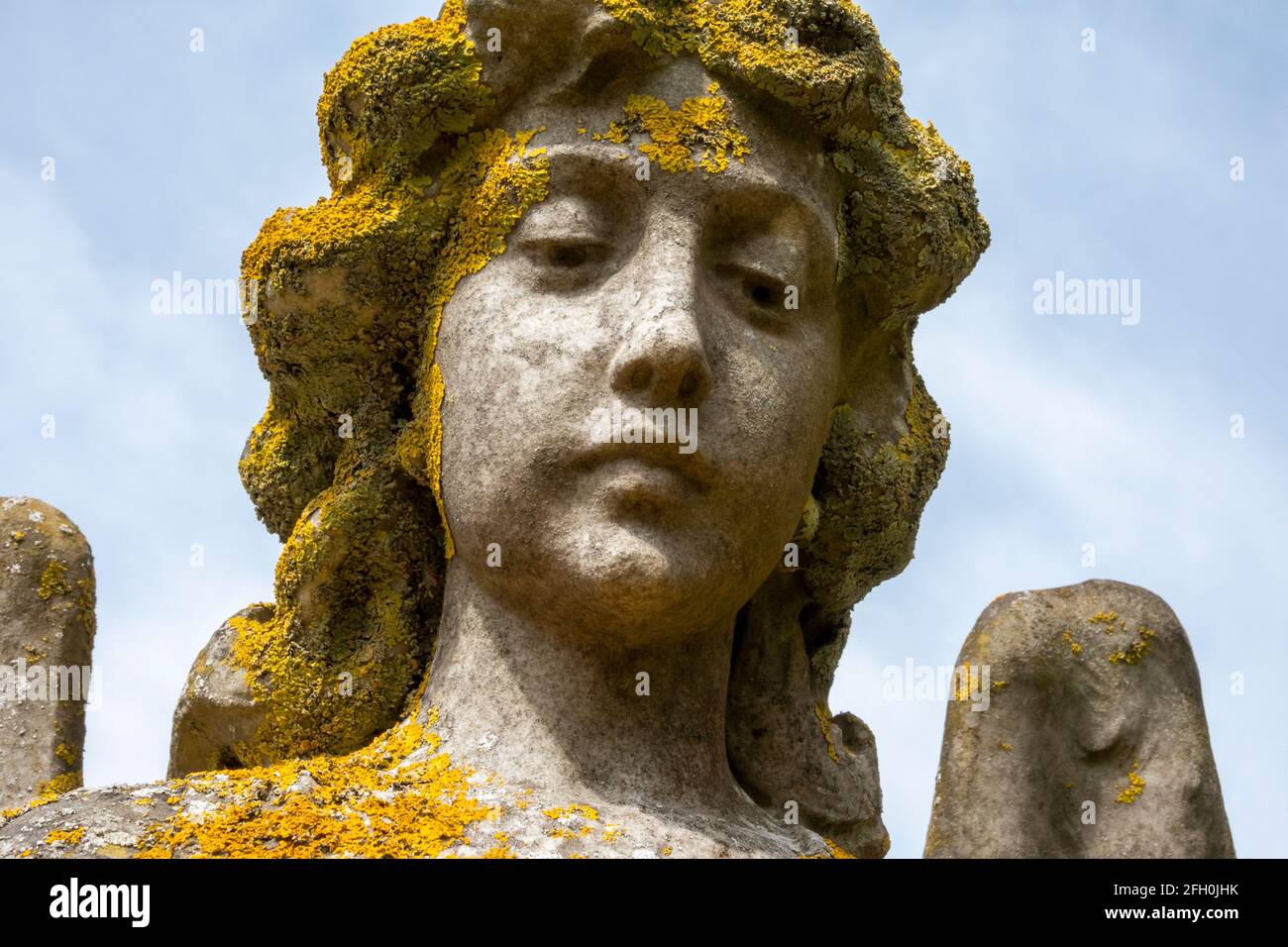 Angel headstone partly covered in yellow lichen Stock Photo