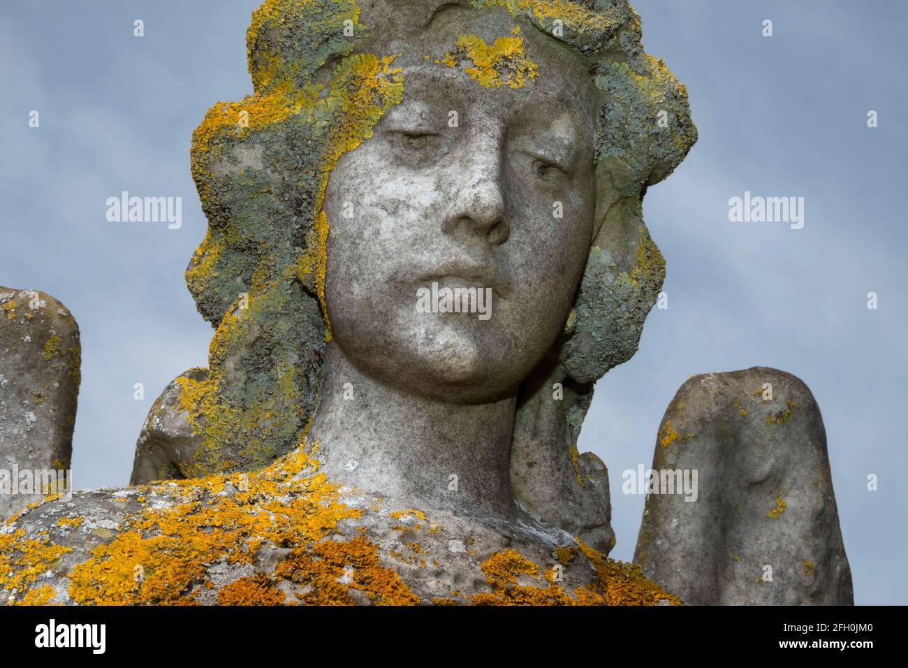 Angel headstone partly covered in yellow lichen Stock Photo