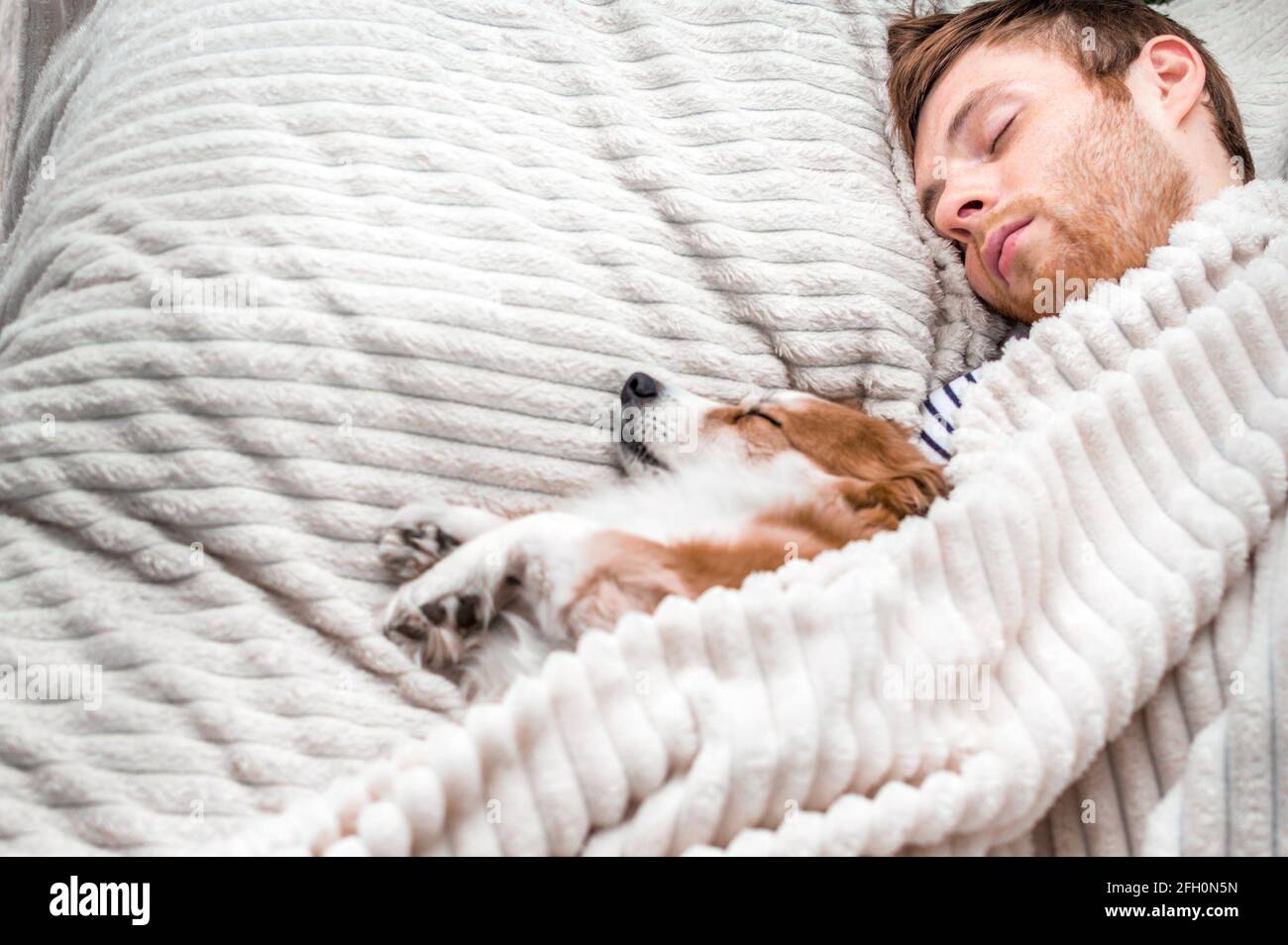 bed with dog space underneath