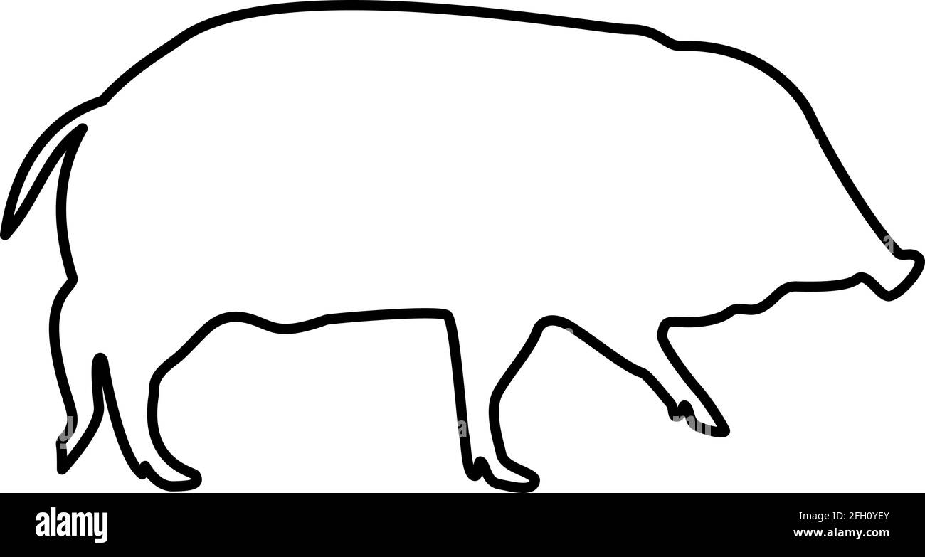 Wild boar Hog wart Swine Suidae Sus Tusker Scrofa contour outline black color vector illustration flat style simple image Stock Vector