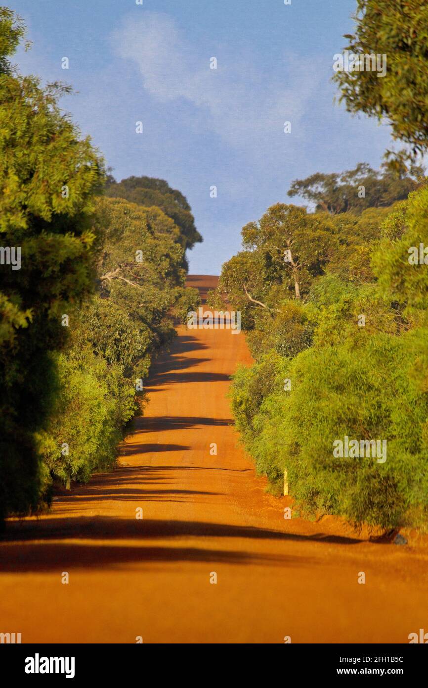 Brilliant color of Pratts Road, a red dirt byway in Stokes Bay, on Kangaroo Island, an Australian destination filled with natural wonders Stock Photo