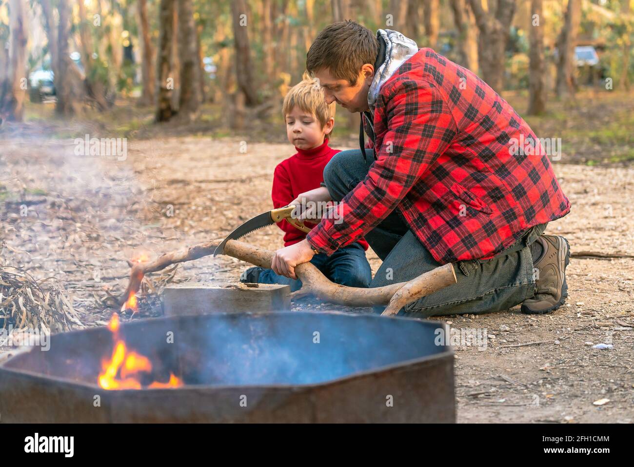 Father and son cutting log with wood saw for a camp fire in the forest ...
