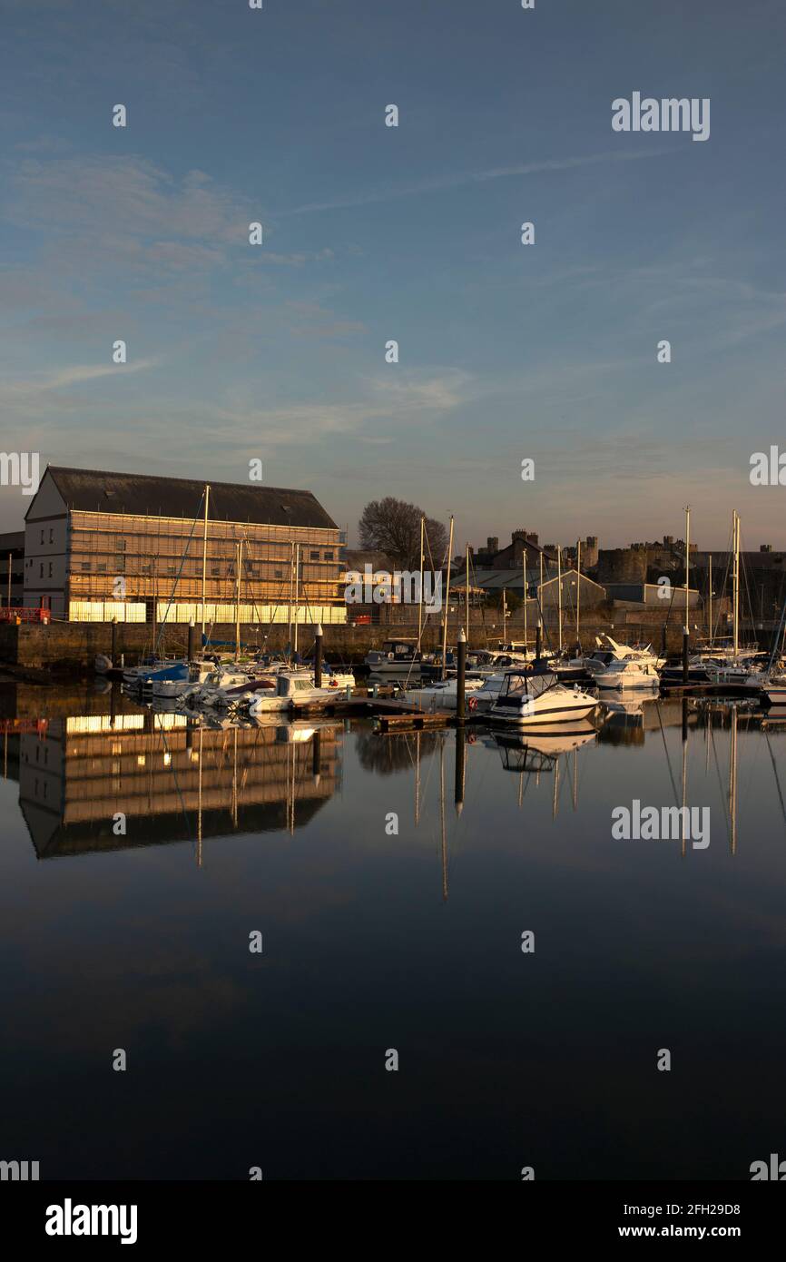 Boats moored in Victoria Dock, Caernarfon, Wales in evening sunlight