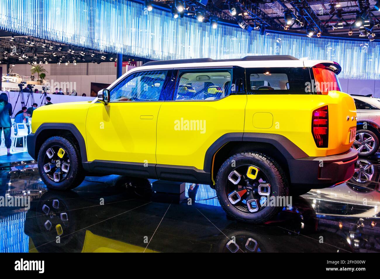Haval x dog