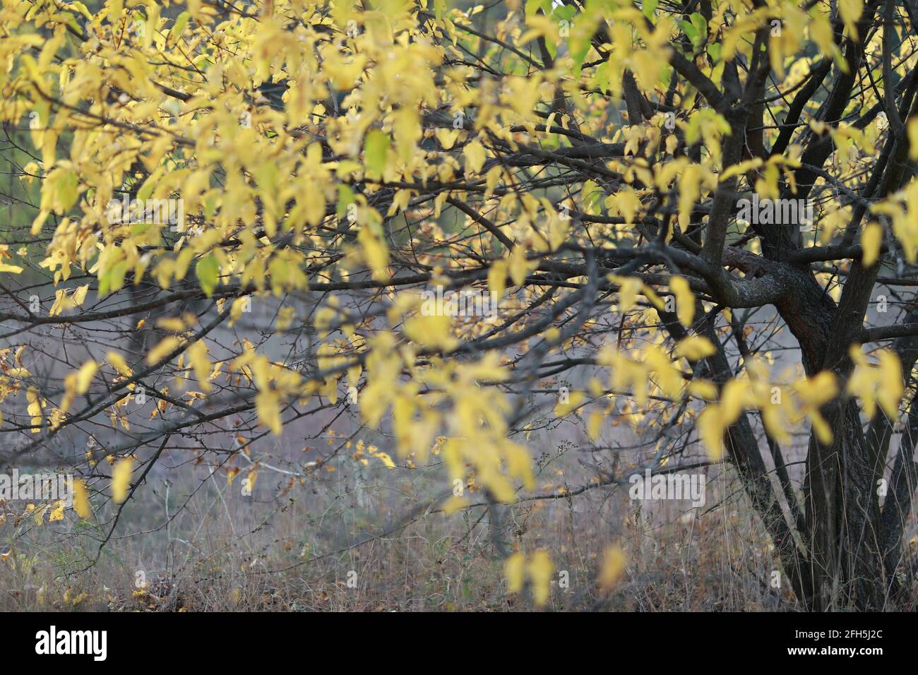Update arrow hi-res stock photography and images - Alamy